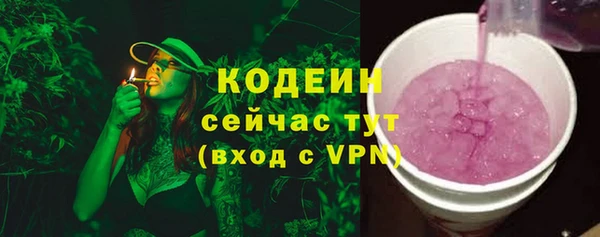 прущие грибы Михайлов