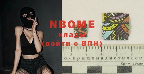 прущие грибы Михайлов