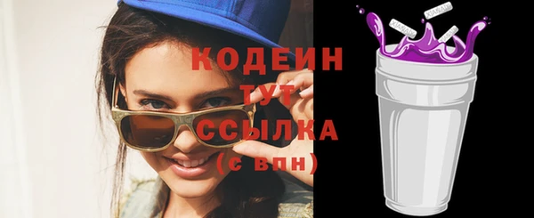 прущие грибы Михайлов