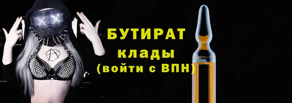 прущие грибы Михайлов