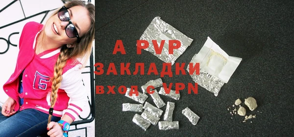 прущие грибы Михайлов