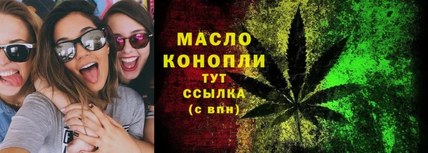 прущие грибы Михайлов
