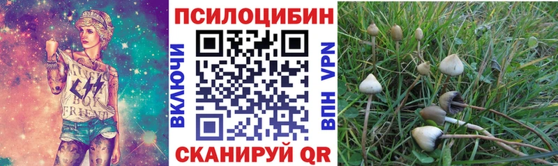 Галлюциногенные грибы прущие грибы  Кириллов 